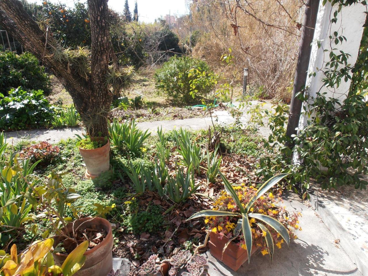 Casa Fortuna Imperia Dış mekan fotoğraf